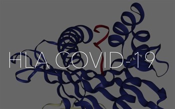 HLA-COVID 19